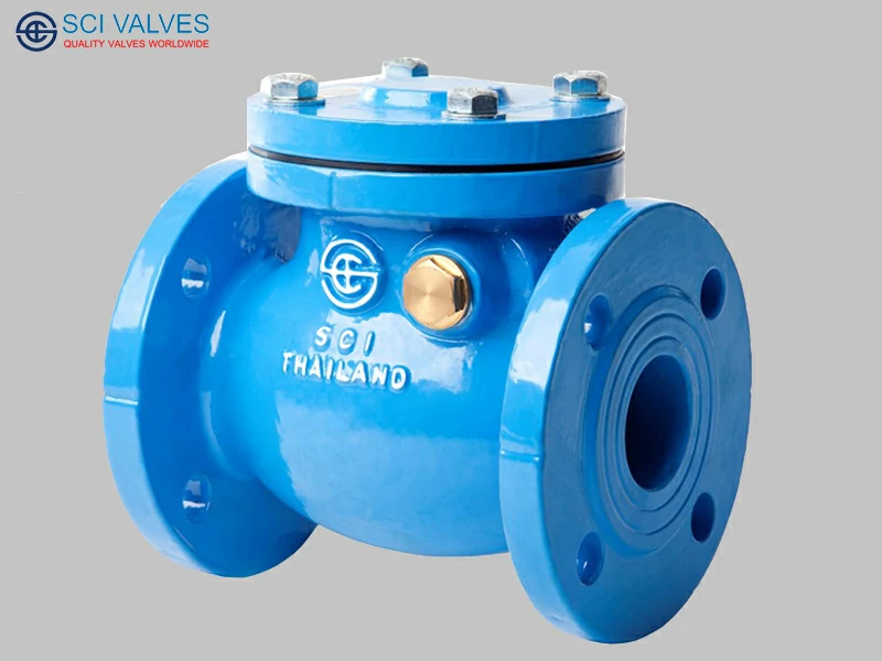 Check Valve